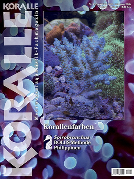 koralle_152_-_korallenfarben_463693819