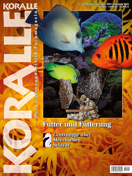 koralle_155_-_koralle_155_-_futter_und_fuetterung_-_tipps_fuer_die_ernaehrung_von_aquarienfischen_1038433502