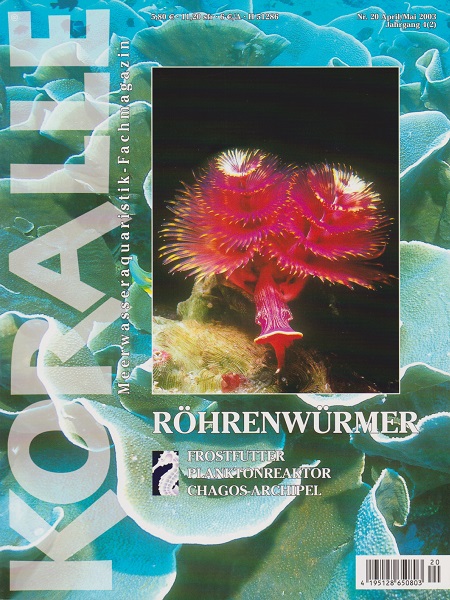 koralle_20_roehrenwuermer