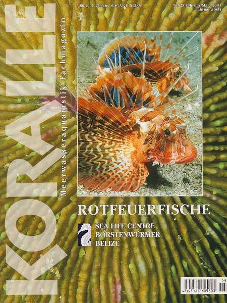 koralle_25_rotfeuerfische