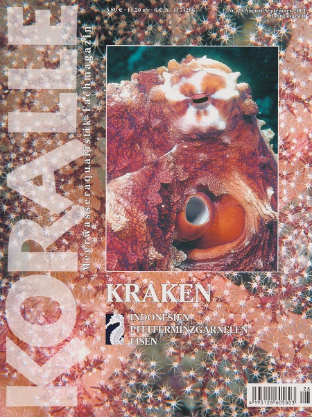 koralle_28_kraken
