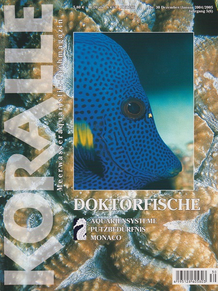 koralle_30_doktorfische
