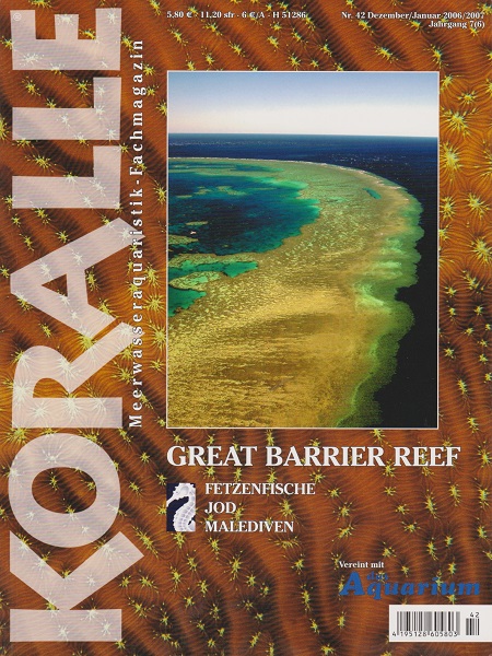 koralle_42_great_barrier_reef