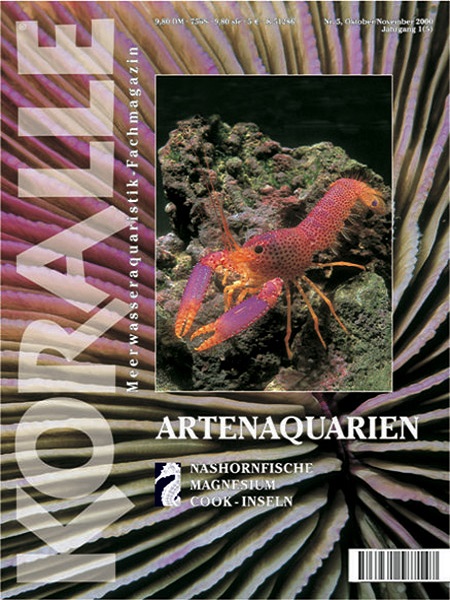 koralle_5_artenaquarien