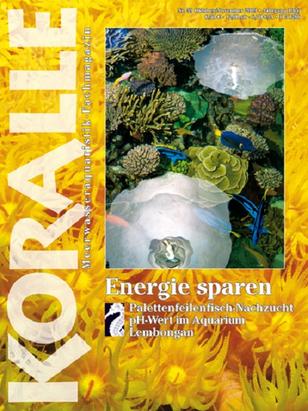 koralle_5_energie_sparen