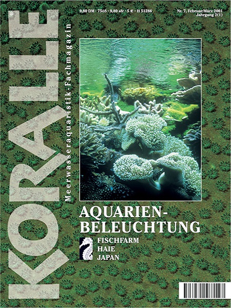 koralle_7_aquarienbeleuchtung