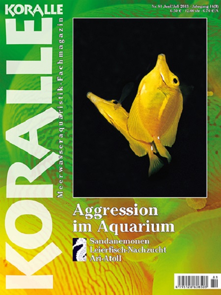 koralle_81_aggression_im_aqurium