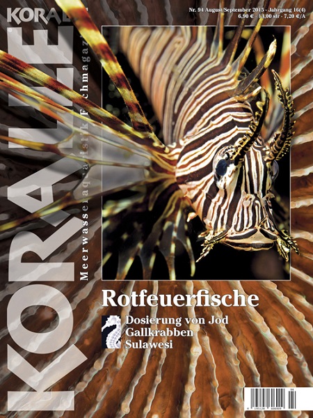 koralle_94_rotfeuerfische