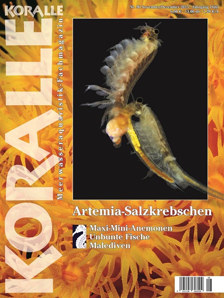 koralle_96_artemia-salzkrebchen