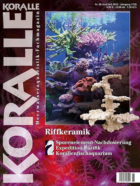 koralle_99_riffkeramik