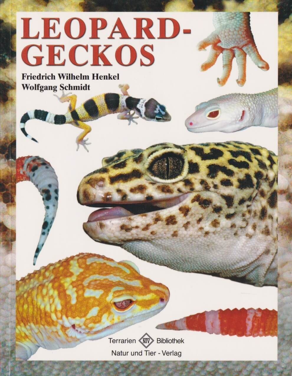 leopardgeckos_9783866590892_cover