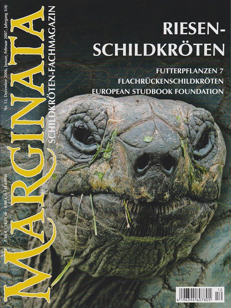 marginata_12_riesenschildkroeten