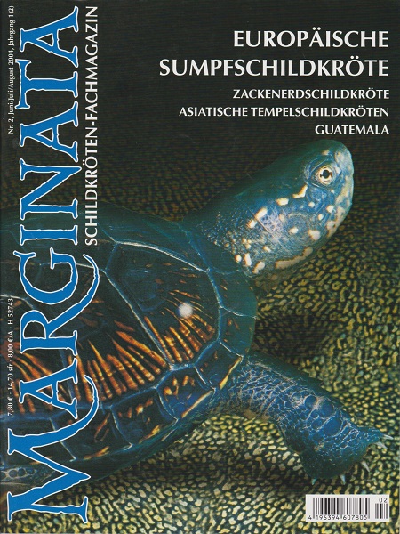 marginata_2_europaeische_sumpfschildkroete