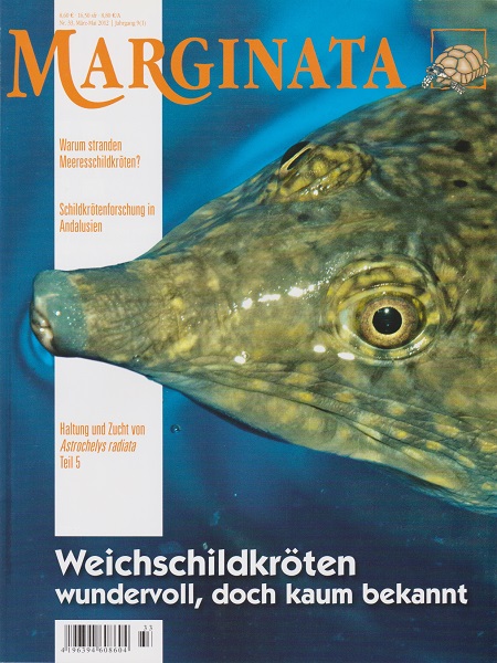 marginata_33_weichschildkroeten