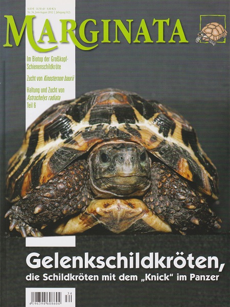 marginata_34_gelenkschildkroeten