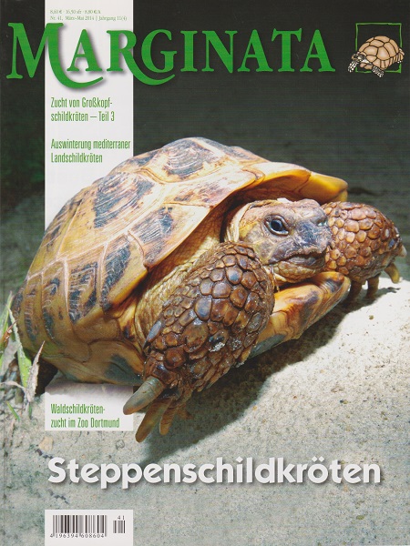 marginata_41_steppenschildkroeten