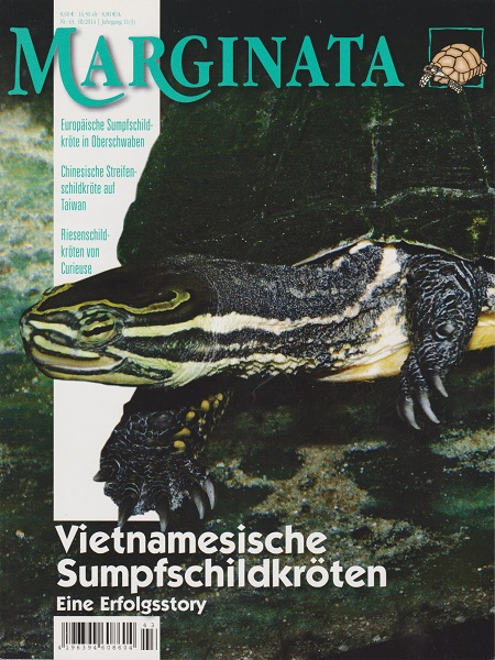 marginata_43_vietnamesische_sumpfschildkroeten