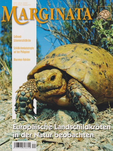 marginata_44_europaeische_landschildkroeten_in_der_natur_beobachten