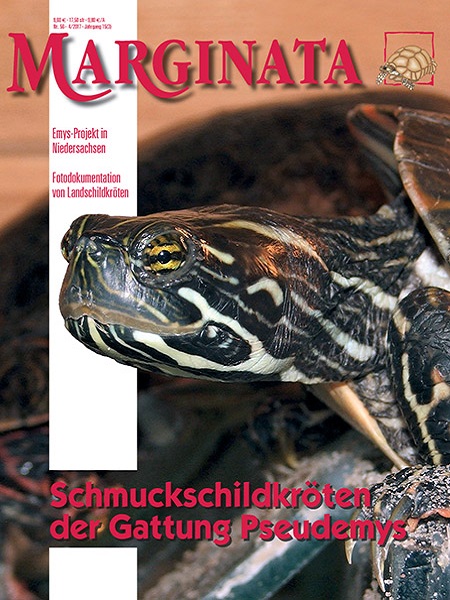 marginata_56_schmuckschildkroeten_der_gattung_pseudemys