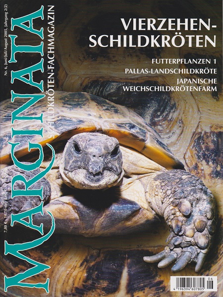 marginata_6_vierzehenschildkroeten