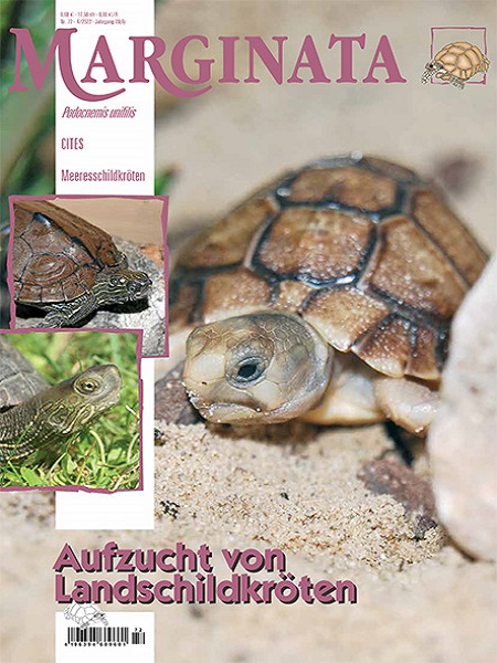 marginata_72_aufzucht_von_landschildkroeten_1007902319