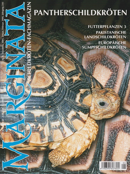 marginata_8_pantherschildkroeten