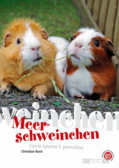meerschweinchen_978-3-86659-111-0_cover