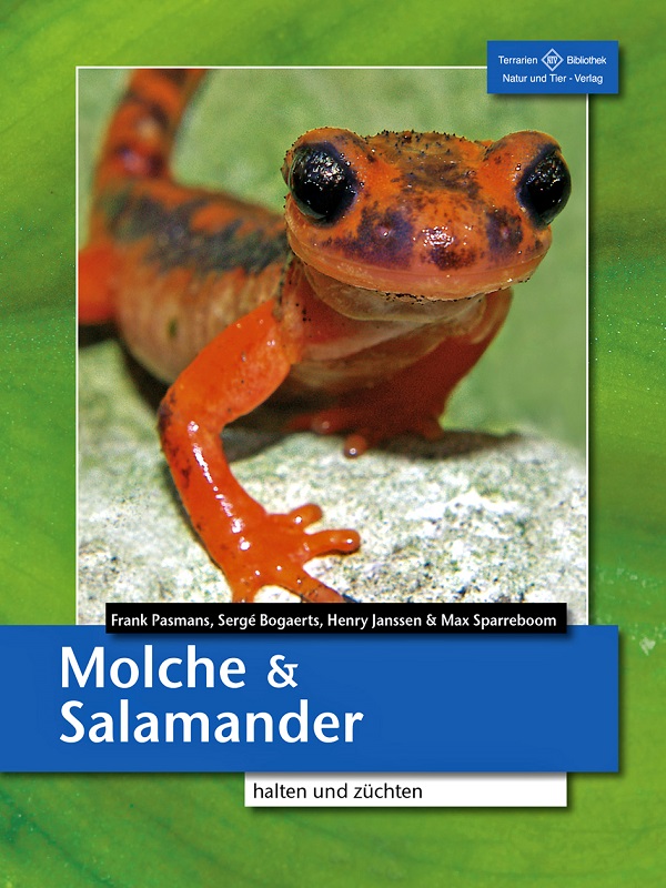 molche_und_salamander