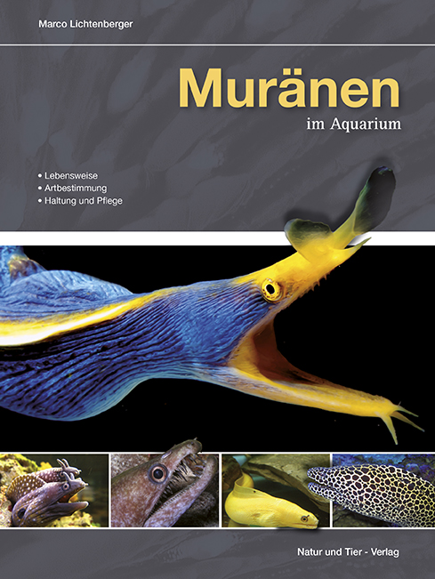 muraenen_im_aquarium_9783866592117_cover