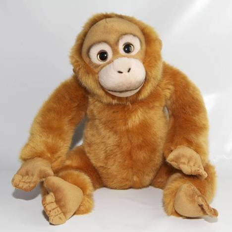 Orang Utan - Frontansicht