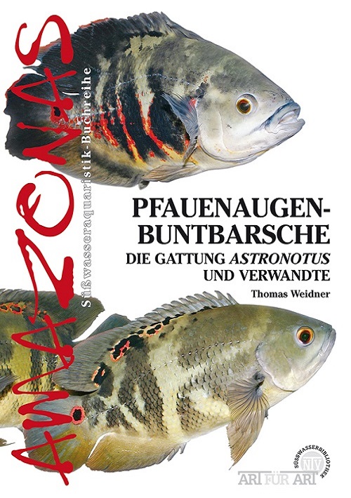 pfauenaugenbuntbarsche_astronotus_97838666591523_1374849692_121106503