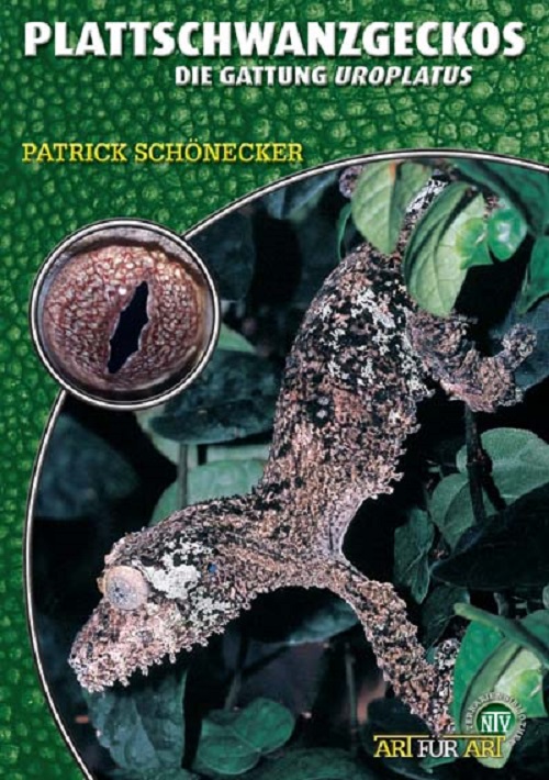 plattschwanzgeckos_uroplatus