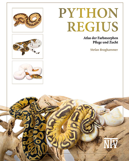 python_regius_atlas_der_farbmorphen