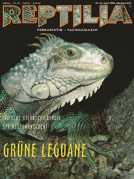 reptilia_10_gruene_leguane