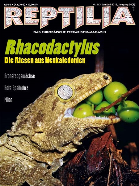 reptilia_113_rhacodactylus_1811331717
