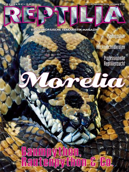 reptilia_118_morelia