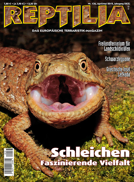 reptilia_136_schleichen