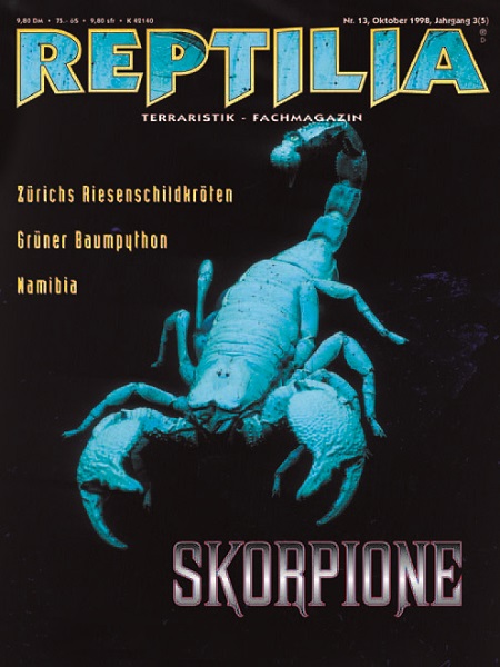 reptilia_13_skorpione