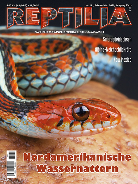 reptilia_141_nordamerikanische_wassernattern