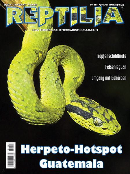 reptilia_166_herpeto-hotspot_guatemala_1060276930