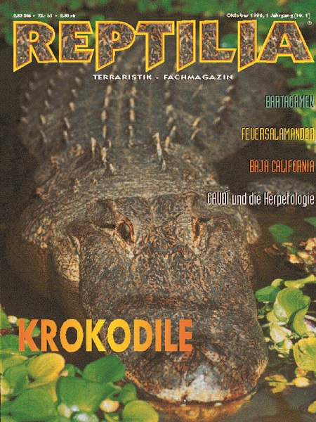 reptilia_1_krokodile