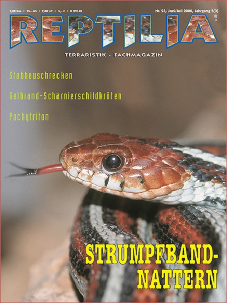 reptilia_23_strumpfbandnattern