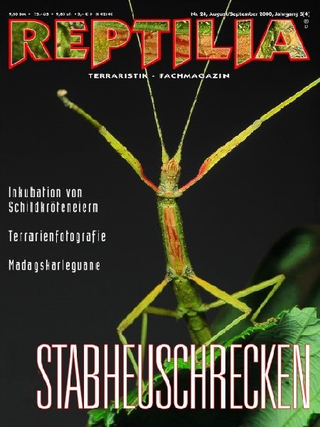 reptilia_24_stabheuschrecken_1699145406