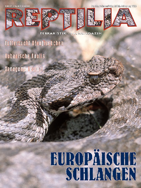 reptilia_33_europaeische_schlangen