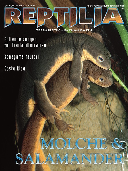 reptilia_34_molche_und_salamander