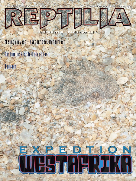 reptilia_36_expedition_westafrika