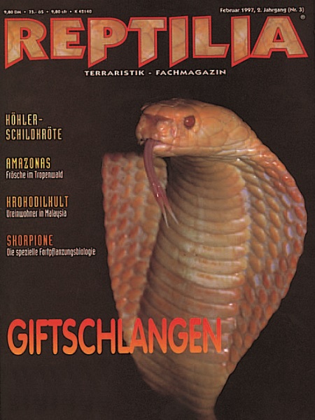 reptilia_3_giftschlangen