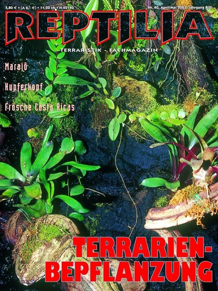 reptilia_40_terrarien-bepflanzung