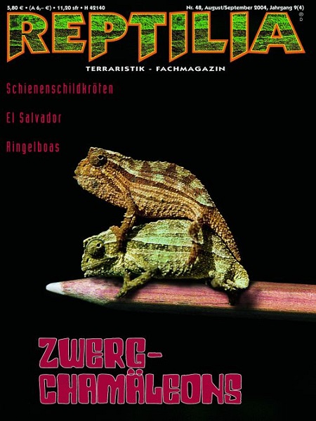 reptilia_48_zwergchamaeleons