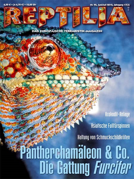 reptilia_95_pantherchamaeleon__co_-_die__gattung_furcifer_